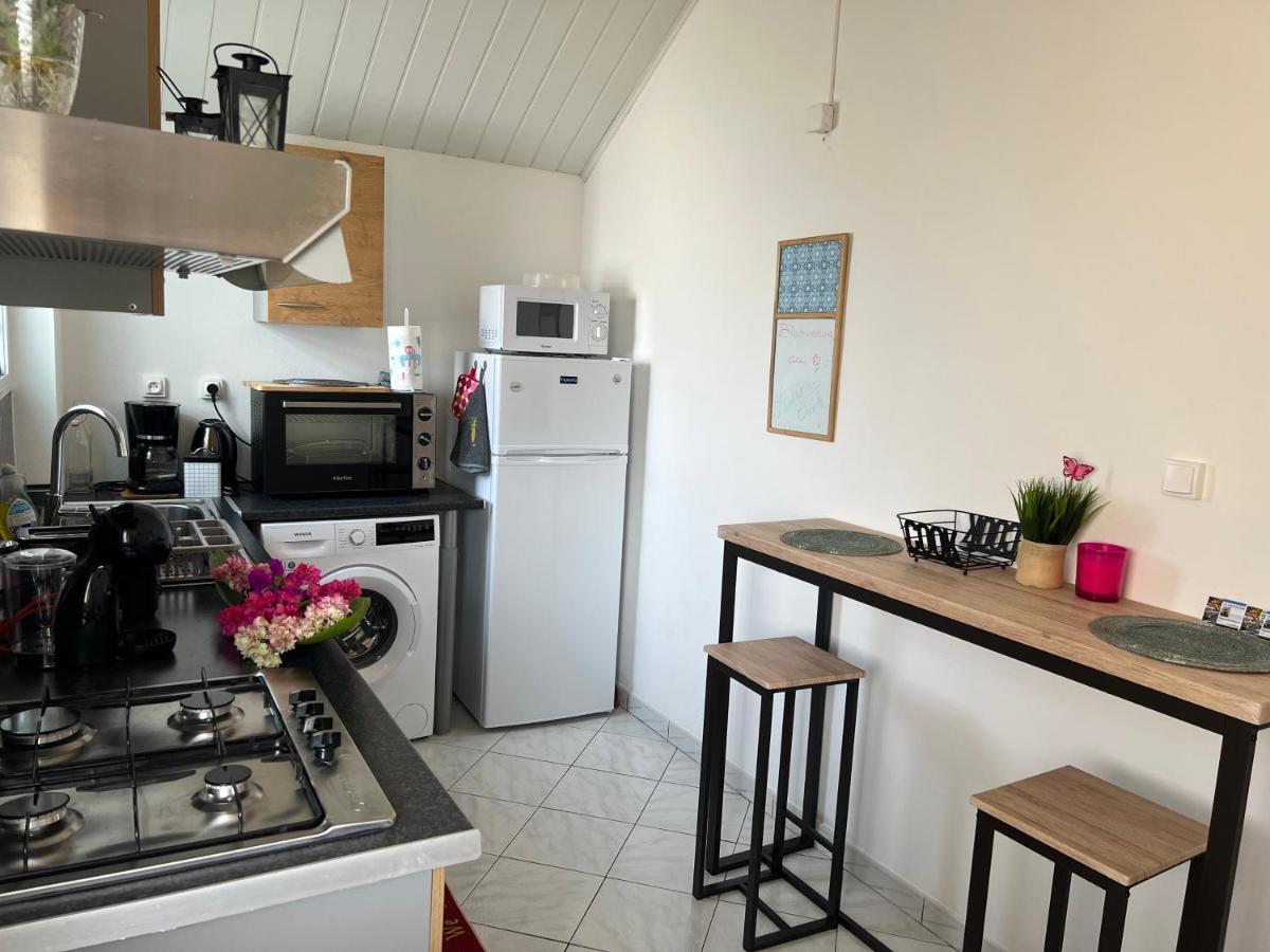 Le Liseron Creole - Entre Terre, Mer Et Riviere - Proche Toutes Commodites Saint-Joseph Dış mekan fotoğraf